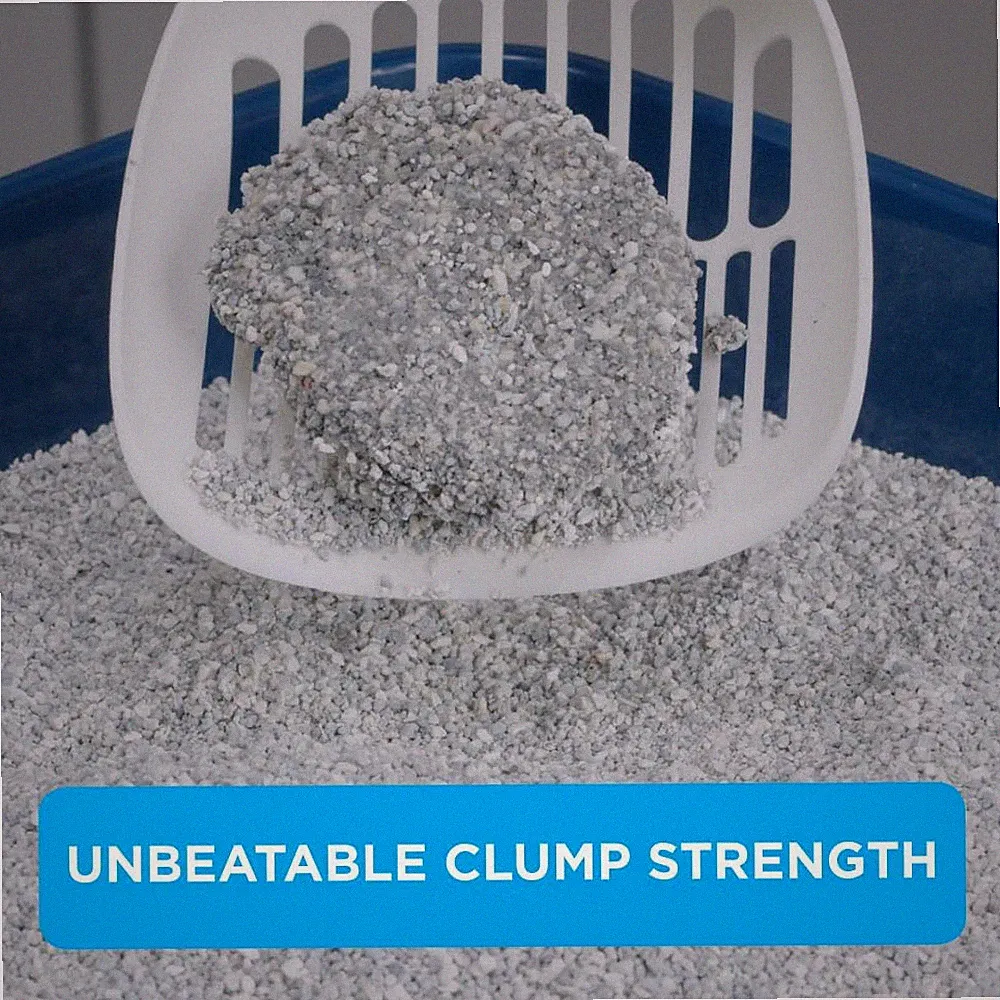 Ever Clean Klumpendes Katzenstreu extra stark klumpendes Katzenstreu, duftend nach...